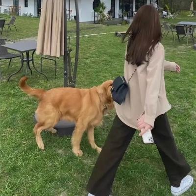 波吉亚家族第三季